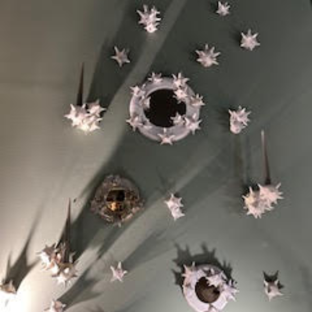 Design sans titre (10) Artiste - Pascale Catoire