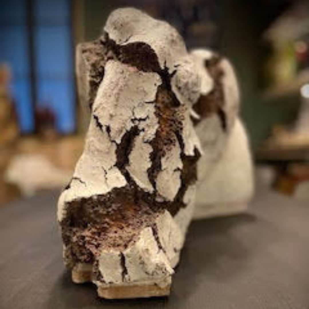 Design sans titre (5) Artiste - Mart SCHJRIVERS