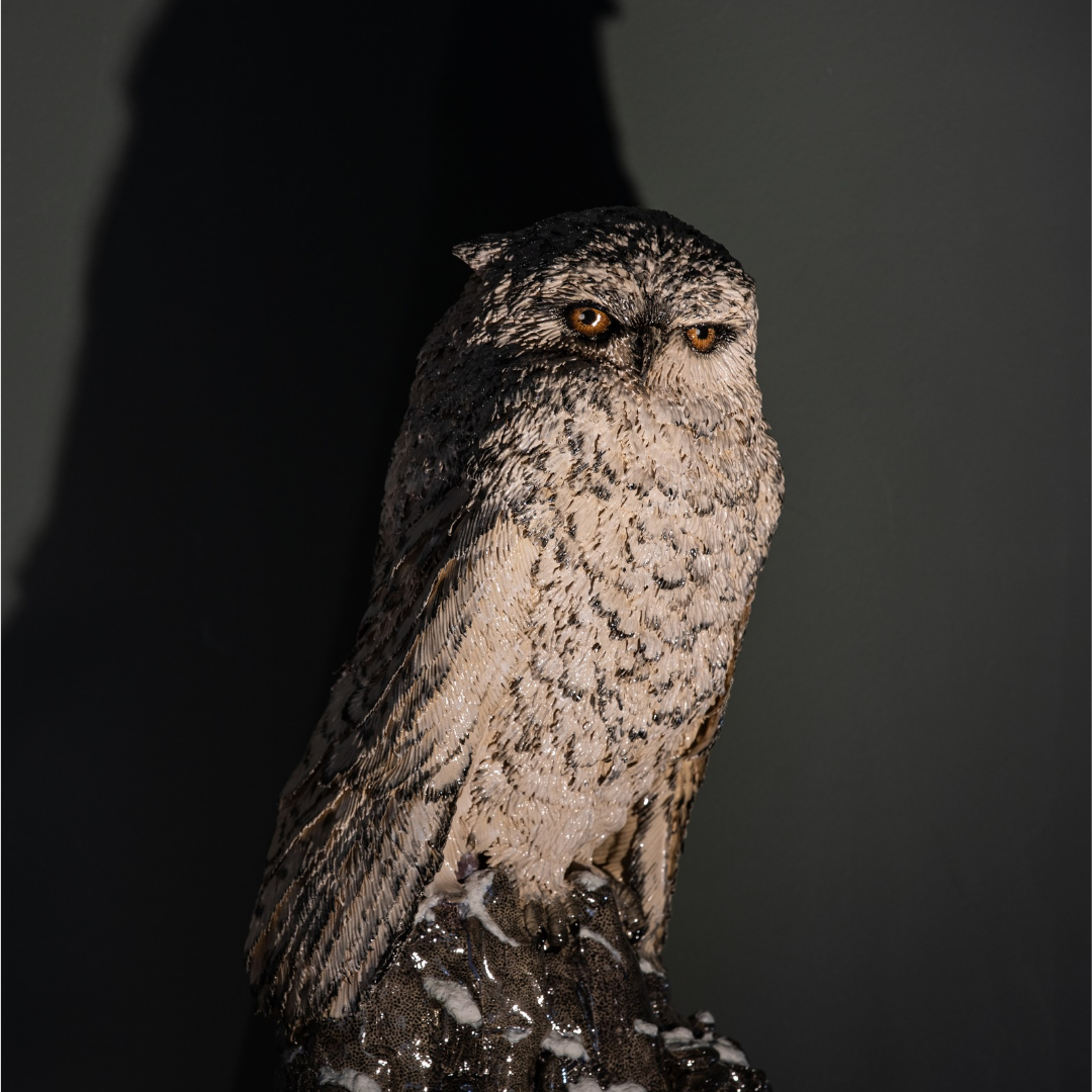 20251014_152216_0000 Oeuvre solstice - Mart SCHIJVERS