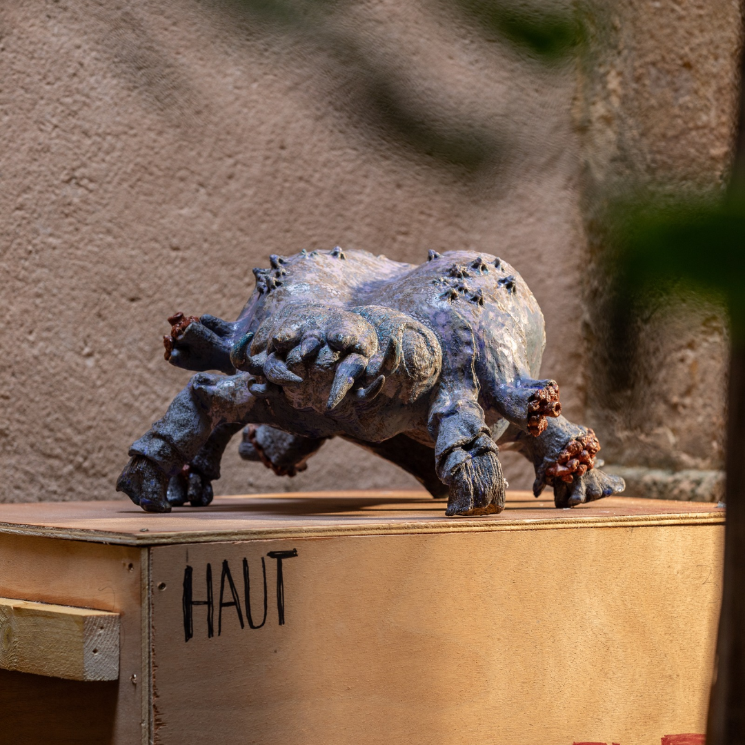 Artiste - Daphne CORREGAN