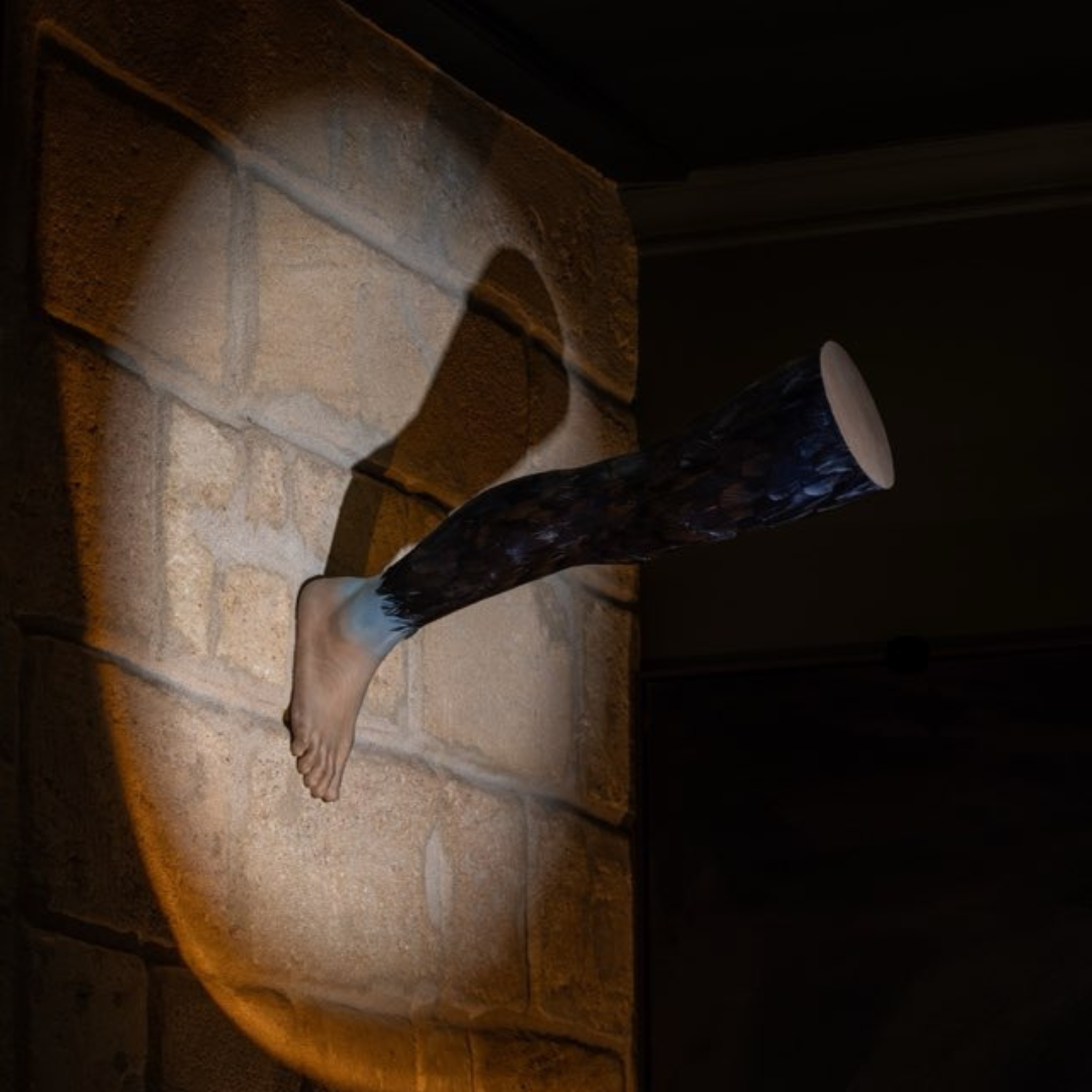 Artiste - Pascale Catoire