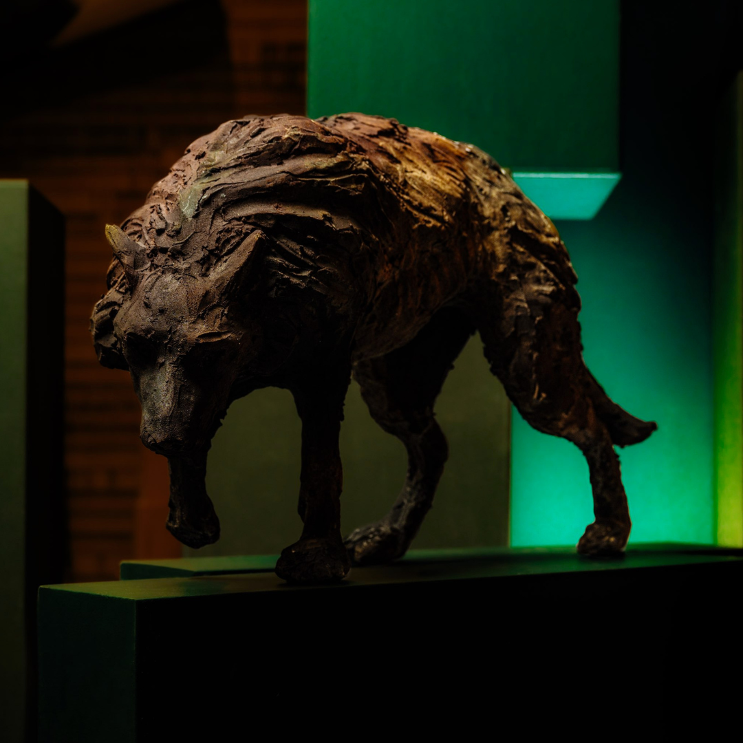 Artiste - Daphne CORREGAN